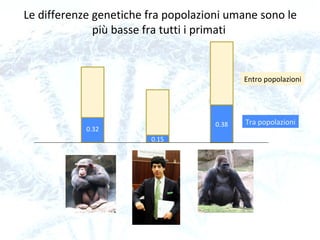 Topic                         Statistic
Total size of the genome: approximately 3,200,000,000 bp*
Percentage of adenine (A) in the genome: 54%
Percentage of cytosine (C) in the genome: 38%
Percentage of bases not yet determined: 9%
Highest gene-dense chromosome: chromosome 19 with 23 genes per 1,000,000 bp*
Least gene-dense chromosomes: chromosome 13 and Y with 5 genes per 1,000,000 bp*
Percentage of DNA spanned by genes: between 25% and 38%
Percentage of exons: 1.1 to 1.4%
Percentage of introns: 24% to 37%
Percentage of intergenic DNA: 74% to 64%
The average size of a gene: 27,000 bp*
The longest gene: dystrophin (a muscle protein) with 2,400,000 bp*
Average length of an intron: 3,300 bp*
Most common length of an intron: 87 bp*
Occurrence rate of SNPs: roughly 1 per 1,500 bp*
Occurrence rate of genes: about 12 per 1,000,000 bp*
Table of Human Genome Statistics
 