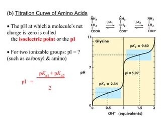 (b) Titration Curve of Amino Acids

• The pH at which a molecule’s net
charge is zero is called
  the isoelectric point or the pI

• For two ionizable groups: pI = ?
(such as carboxyl & amino)

              pKa1 + pKa2
      pI =
                   2
 