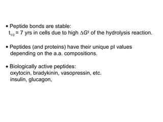 • Peptide bonds are stable:
 t1/2 = 7 yrs in cells due to high ∆G‡ of the hydrolysis reaction.

• Peptides (and proteins) have their unique pI values
  depending on the a.a. compositions.

• Biologically active peptides:
  oxytocin, bradykinin, vasopressin, etc.
  insulin, glucagon,
 