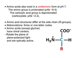 • Amino acids also exist in a zwitterionic form at pH 7.
   The amino group is protonated (pKa ~9.4).
    The carboylic acid group is deprotonated
      (carboxylate; pKa ~2.2).

• Amino acid structures differ at the side chain (R-groups).
• Abbreviations: three or one letter codes
• Amino acids (except glycine)
  have chiral centers:
- Rotate the plane of
  plane-polarized light
  and are optically active.
 