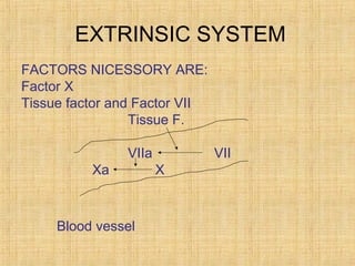 EXTRINSIC SYSTEM
FACTORS NICESSORY ARE:
Factor X
Tissue factor and Factor VII
Tissue F.
VIIa
Xa

Blood vessel

VII
X

 
