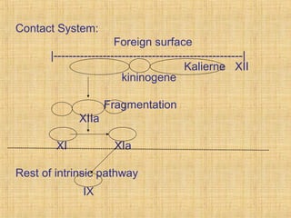 Contact System:
Foreign surface
|--------------------------------------------------|
Kalierne XII
kininogene
Fragmentation
XIIa
XI

XIa

Rest of intrinsic pathway
IX

 