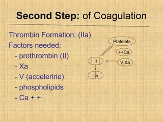 Second Step: of Coagulation
Thrombin Formation: (IIa)
Factors needed:
- prothrombin (II)
- Xa
- V (acceleririe)
- phospholipids
- Ca + +

Platelets
++Ca
II
IIa

V,Xa

 