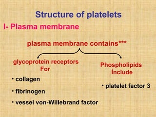 Structure of platelets
I- Plasma membrane
plasma membrane contains***
glycoprotein receptors
For
• collagen
• fibrinogen
• vessel von-Willebrand factor

Phospholipids
I
ُ nclude
• platelet factor 3

 