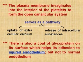 *** The plasma membrane invaginates
into the interior of the platelets to
form the open canalicular system
serves as a pathway
uptake of extra
cellular calcium

release of intracellular
substances

*** There is also a coat of glycoprotein on
its surface which helps its adhesion to
injured endothelium; but not to normal
endothelium

 