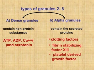 types of granules 2- 8
A) Dense granules
contain non-protein
substances

ATP, ADP, Ca++)
)and serotonin

b) Alpha granules
contain the secreted
proteins

• clotting factors
• fibrin stabilizing
factor XIII
• platelet derived
growth factor

 