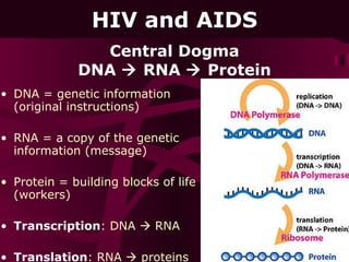 08 hiv and aids[1] | PPT