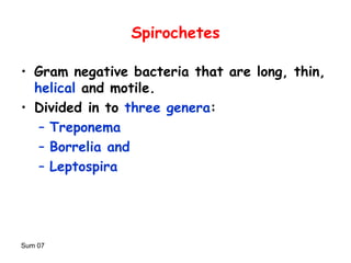 Sum 07
Spirochetes
• Gram negative bacteria that are long, thin,
helical and motile.
• Divided in to three genera:
– Treponema
– Borrelia and
– Leptospira
 