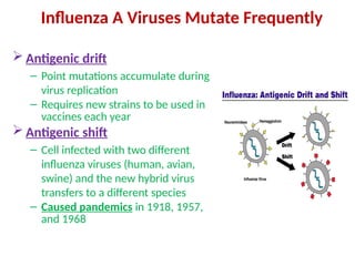 08 Influenza diagnosis and managment.pptx