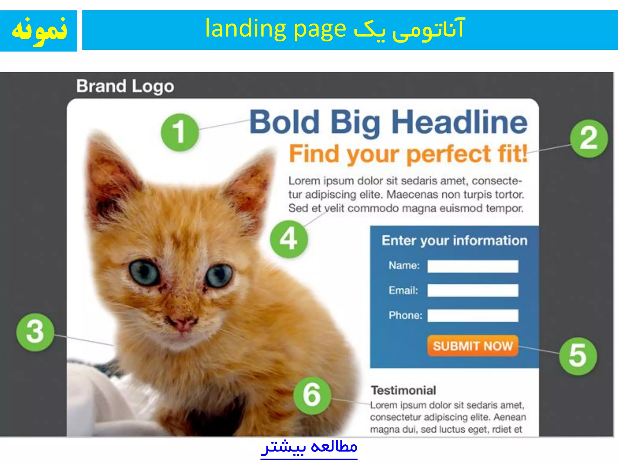 ‫ثیطتز‬ ٝ‫ٔطبِؼ‬
‫یه‬ ‫آ٘بتٛٔی‬landing page‫ومًوه‬
 