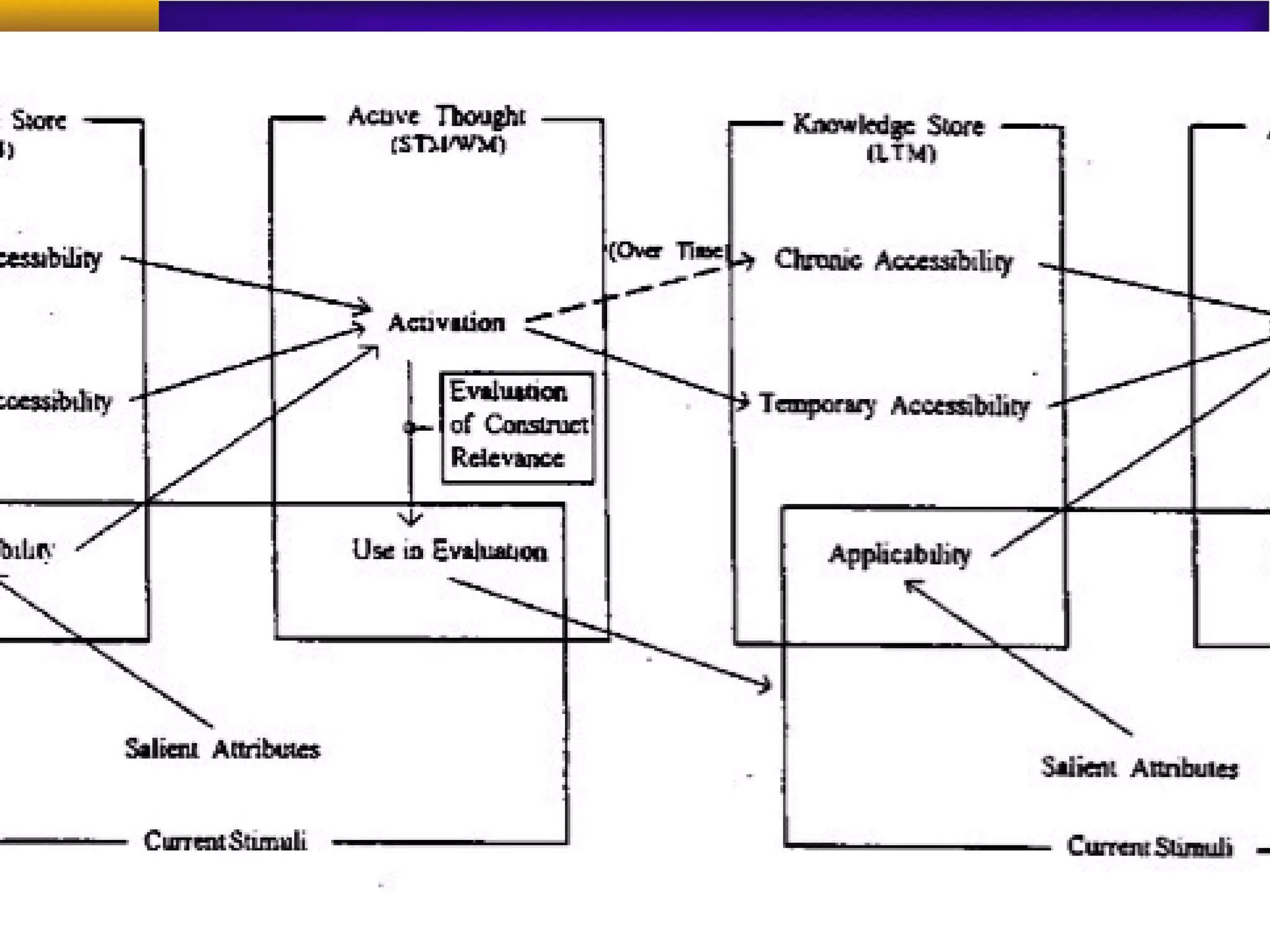Model of Framing Effects
 