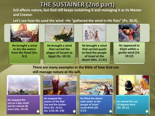Evil affects nature, but God still keeps sustaining it and managing it as its Master
and Creator.
Let’s see how He used the wind –He “gathered the wind in His fists” (Pv. 30:4),
He brought a wind
to dry the waters
from the Flood (Gn.
8:1)
He brought a wind
that carried the
plague of locusts to
Egypt (Ex. 10:13)
He brought a wind
that carried quails
to feed the people
of Israel at the
desert (Nm. 11:31)
He appeared to
Elijah within a
gentle wind (1K.
19:12)
There are many examples in the Bible of how God can
still manage nature at His will,
He stopped the
sun so a day could
last for almost 48
hours (Jos. 10:13)
He stopped the
waters of the Red
Sea and the Jordan
River (Ex. 14:21;
Jos. 3:16; 2K. 2:8)
He filled the desert
with water so the
people of Israel
could drink (2K.
3:17)
He moved the sun
10 degrees back
(2K. 20:11)
 