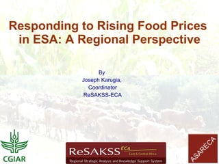 Responding to Rising Food Prices
 in ESA: A Regional Perspective

                 By
           Joseph Karugia,
             Coordinator
           ReSAKSS-ECA
 