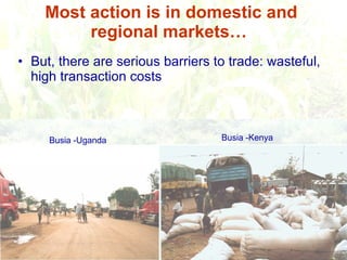 Responding to Rising Food Prices in Eastern and Southern Africa: A Regional Perspective