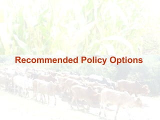 Responding to Rising Food Prices in Eastern and Southern Africa: A Regional Perspective