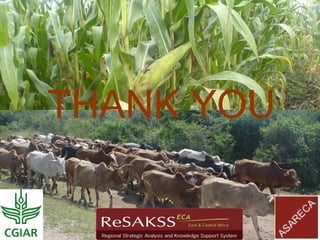 Responding to Rising Food Prices in Eastern and Southern Africa: A Regional Perspective