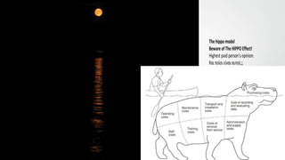 The hippo model
Beware ofThe HIPPO Effect!
Highest paid person’s opinion.
Και ποίοι είναι αυτοί;;;
Thehippomodel
BewareofTheHIPPOEffect!
Highestpaidperson’sopinion.
Καιποίοιείναιαυτοί;;;
 