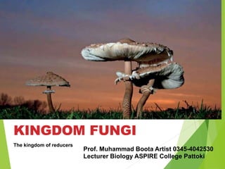 The kingdom of reducers
KINGDOM FUNGI
Prof. Muhammad Boota Artist 0345-4042530
Lecturer Biology ASPIRE College Pattoki
 