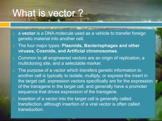 08 Kjm206 Expression Vector, Plasmid Vector | PPTX