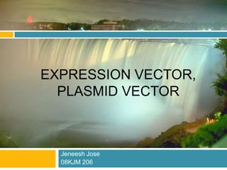 Expression vector, Plasmid vector Jeneesh Jose 08KJM 206 