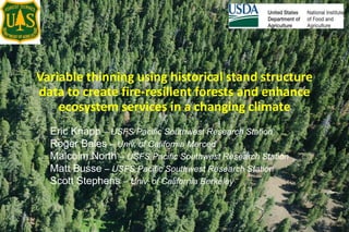 Variable thinning using historical stand structure
data to create fire-resilient forests and enhance
ecosystem services in a changing climate
Eric Knapp – USFS Pacific Southwest Research Station
Roger Bales – Univ. of California Merced
Malcolm North – USFS Pacific Southwest Research Station
Matt Busse – USFS Pacific Southwest Research Station
Scott Stephens – Univ. of California Berkeley
 