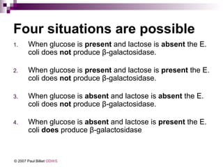 Four situations are possible
1.

When glucose is present and lactose is absent the E.
coli does not produce β-galactosidase.

2.

When glucose is present and lactose is present the E.
coli does not produce β-galactosidase.

3.

When glucose is absent and lactose is absent the E.
coli does not produce β-galactosidase.

4.

When glucose is absent and lactose is present the E.
coli does produce β-galactosidase

© 2007 Paul Billiet ODWS

 