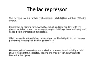 The lac repressor
• The lac repressor is a protein that represses (inhibits) transcription of the lac
operon.
• It does this by binding to the operator, which partially overlaps with the
promoter. When bound,the lac repressor gets in RNA polymerase's way and
keeps it from transcribing the operon.
• When lactose is not available, the lac repressor binds tightly to the operator,
preventing transcription by RNA polymerase.
• However, when lactose is present, the lac repressor loses its ability to bind
DNA. It floats off the operator, clearing the way for RNA polymerase to
transcribe the operon.
•
 