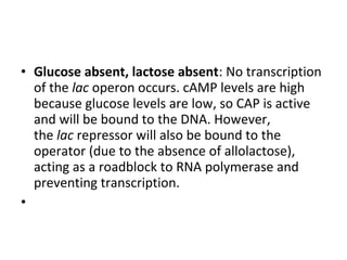 • Glucose absent, lactose absent: No transcription
of the lac operon occurs. cAMP levels are high
because glucose levels are low, so CAP is active
and will be bound to the DNA. However,
the lac repressor will also be bound to the
operator (due to the absence of allolactose),
acting as a roadblock to RNA polymerase and
preventing transcription.
•
 