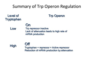 Summary of Trp Operon Regulation
Level ofLevel of
TryptophanTryptophan
Trp OperonTrp Operon
LowLow
HighHigh
OnOn
Trp repressor inactiveTrp repressor inactive
Lack of attenuation leads to high rate ofLack of attenuation leads to high rate of
mRNA productionmRNA production
OffOff
Tryptophan + repressor = Active repressorTryptophan + repressor = Active repressor
Reduction of mRNA production by attenuationReduction of mRNA production by attenuation
 