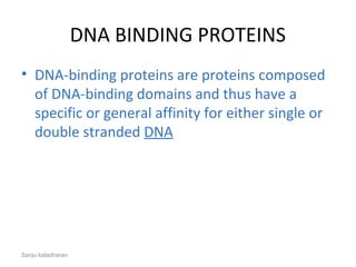 DNA BINDING PROTEINS
• DNA-binding proteins are proteins composed 
of DNA-binding domains and thus have a 
specific or general affinity for either single or 
double stranded DNA
Sanju kaladharan
 