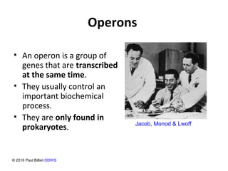 Operons
• An operon is a group of
genes that are transcribed
at the same time.
• They usually control an
important biochemical
process.
• They are only found in
prokaryotes. Jacob, Monod & Lwoff
© 2016 Paul Billiet ODWS
 