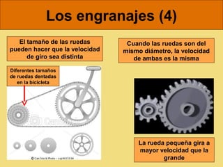 Los engranajes (4)
   El tamaño de las ruedas       Cuando las ruedas son del
pueden hacer que la velocidad   mismo diámetro, la velocidad
      de giro sea distinta         de ambas es la misma
Diferentes tamaños
de ruedas dentadas
   en la bicicleta




                                     La rueda pequeña gira a
                                     mayor velocidad que la
                                             grande
 