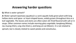 Answering	
  harder	
  ques$ons	
  
Q:	
  What	
  is	
  water	
  spinach?	
  
A:	
  Water	
  spinach	
  (ipomoea	
  aqua(ca)	
  is	
  a	
  semi-­‐aqua(c	
  leafy	
  green	
  plant	
  with	
  long	
  
hollow	
  stems	
  and	
  spear-­‐	
  or	
  heart-­‐shaped	
  leaves,	
  widely	
  grown	
  throughout	
  Asia	
  as	
  a	
  
leaf	
  vegetable.	
  The	
  leaves	
  and	
  stems	
  are	
  oJen	
  eaten	
  s(r-­‐fried	
  ﬂavored	
  with	
  salt	
  or	
  in	
  
soups.	
  Other	
  common	
  names	
  include	
  morning	
  glory	
  vegetable,	
  kangkong	
  (Malay),	
  
rau	
  muong	
  (Viet.),	
  ong	
  choi	
  (Cant.),	
  and	
  kong	
  xin	
  cai	
  (Mand.).	
  It	
  is	
  not	
  related	
  to	
  
spinach,	
  but	
  is	
  closely	
  related	
  to	
  sweet	
  potato	
  and	
  convolvulus.	
  	
  
 