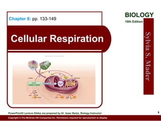 Cellular Respiration Chapter 8:   pp. 133-149 Electron transport chain and chemiosmosis Mitochondrion Citric acid cycle Preparatory reaction 2 32 ADP or 34 32 or 34 2 4 ATP total net gain 2 ADP NADH NADH and F ADH 2 Glycolysis NADH glucose pyruvate Cytoplasm e – e – e – e – e – e – e – 2 ADP 4 ADP ATP 2 ADP ATP ATP Copyright © The McGraw-Hill Companies, Inc. Permission required for reproduction or display. 