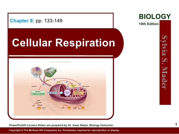 08 lecture animation ppt