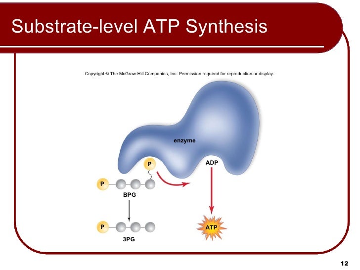 08 Lecture Animation Ppt