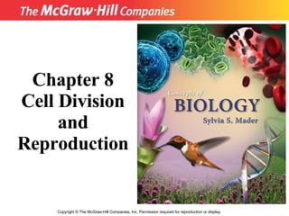 Copyright  ©  The McGraw-Hill Companies, Inc. Permission required for reproduction or display. Chapter 8 Cell Division and Reproduction 