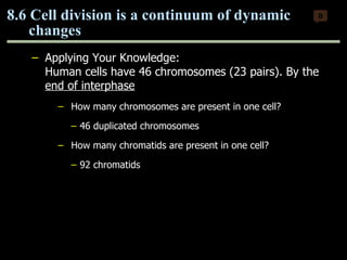 Applying Your Knowledge: Human cells have 46 chromosomes (23 pairs). By the  end of interphase   How many chromosomes are present in one cell? 46 duplicated chromosomes How many chromatids are present in one cell? 92 chromatids 8.6 Cell division is a continuum of dynamic  changes 0 Copyright © 2009 Pearson Education, Inc. 