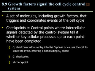 A set of molecules, including growth factors, that triggers and coordinates events of the cell cycle Checkpoints = Control points where intercellular signals detected by the control system tell it whether key cellular processes up to each point have been completed G 1  checkpoint allows entry into the S phase or causes the cell to leave the cycle, entering a nondividing G 0  phase G 2  checkpoint M checkpoint 8.9 Growth factors signal the cell cycle control system 0 