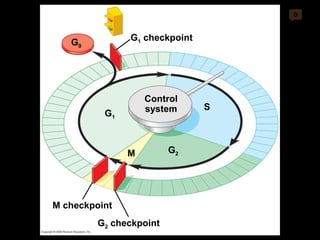 0 G 1  checkpoint Control system M S G 2 G 1 M checkpoint G 2  checkpoint G 0 