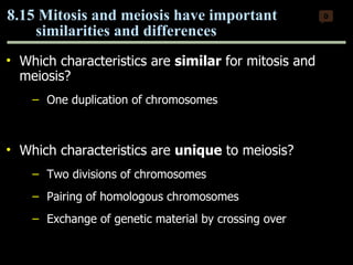 Which characteristics are  similar  for mitosis and meiosis? One duplication of chromosomes Which characteristics are  unique  to meiosis?  Two divisions of chromosomes Pairing of homologous chromosomes Exchange of genetic material by crossing over 8.15 Mitosis and meiosis have important  similarities and differences  0 Copyright © 2009 Pearson Education, Inc. 