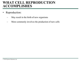 WHAT CELL REPRODUCTION
ACCOMPLISHES
• Reproduction:
– May result in the birth of new organisms
– More commonly involves the production of new cells
© 2010 Pearson Education, Inc.
 