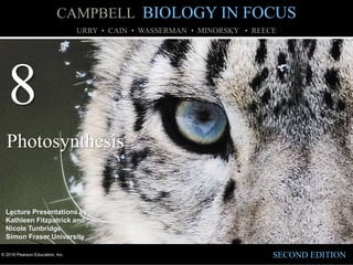 © 2016 Pearson Education, Inc.
URRY • CAIN • WASSERMAN • MINORSKY • REECE
Lecture Presentations by
Kathleen Fitzpatrick and
Nicole Tunbridge,
Simon Fraser University
SECOND EDITION
CAMPBELL BIOLOGY IN FOCUS
8
Photosynthesis
 
