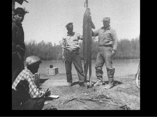 Grand Rapids WhiteWater - Chris Muller