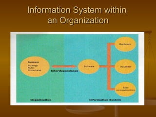 Information System within  an Organization 