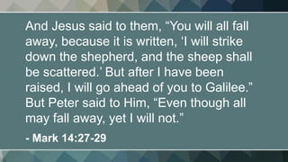 And Jesus said to them, “You will all fall
away, because it is written, ‘I will strike
down the shepherd, and the sheep shall
be scattered.’ But after I have been
raised, I will go ahead of you to Galilee.”
But Peter said to Him, “Even though all
may fall away, yet I will not.”
- Mark 14:27-29
 