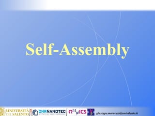 giuseppe.maruccio@unisalento.it
Self-Assembly
 