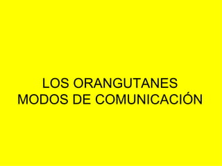 LOS ORANGUTANES MODOS DE COMUNICACIÓN 