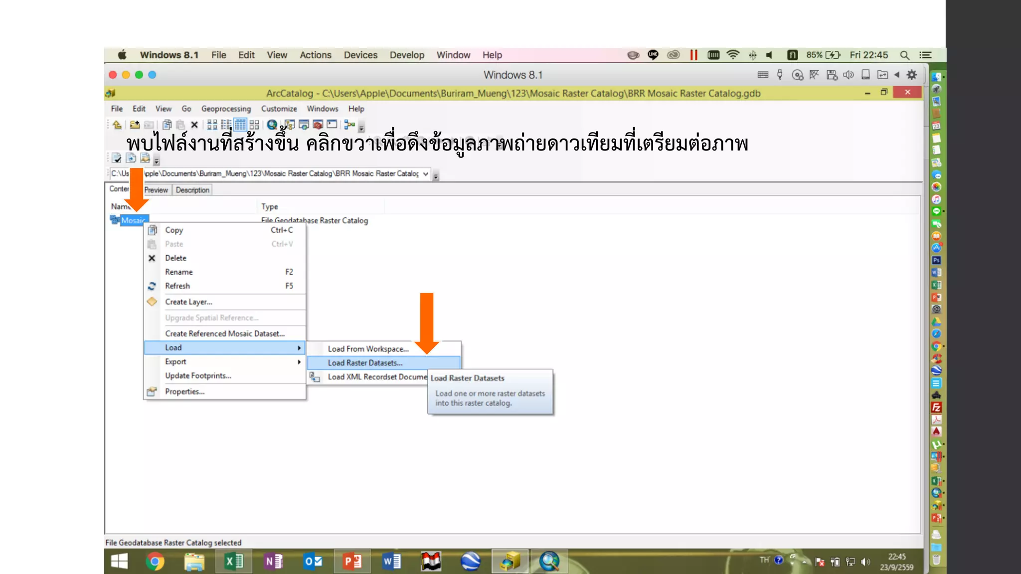 08 Mosaic Raster Catalog PPT