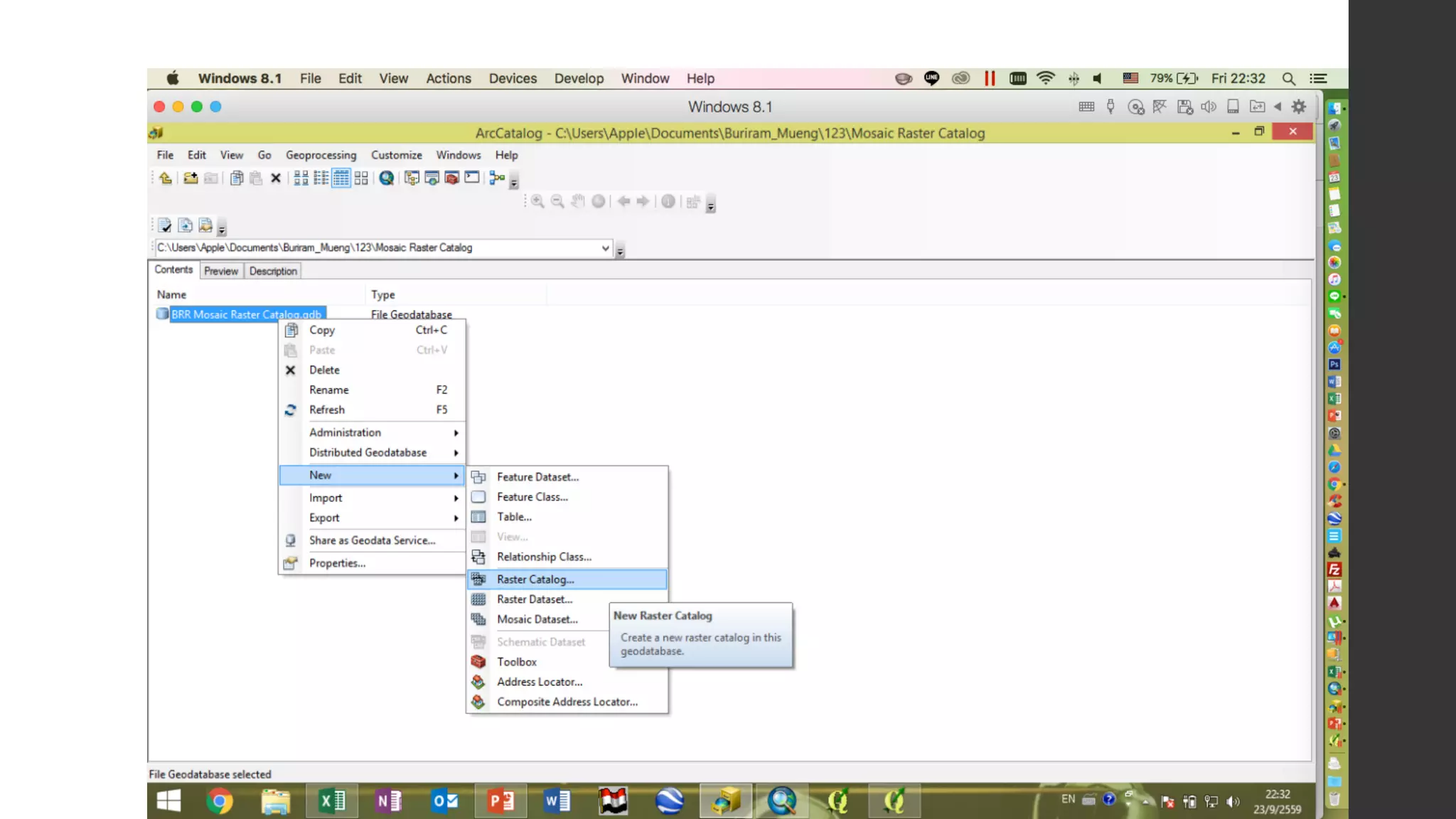 08 Mosaic Raster Catalog PPT